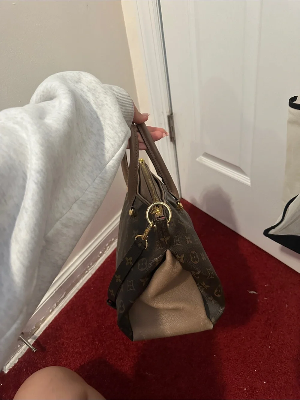 Louis Vuitton Monogram Canvas